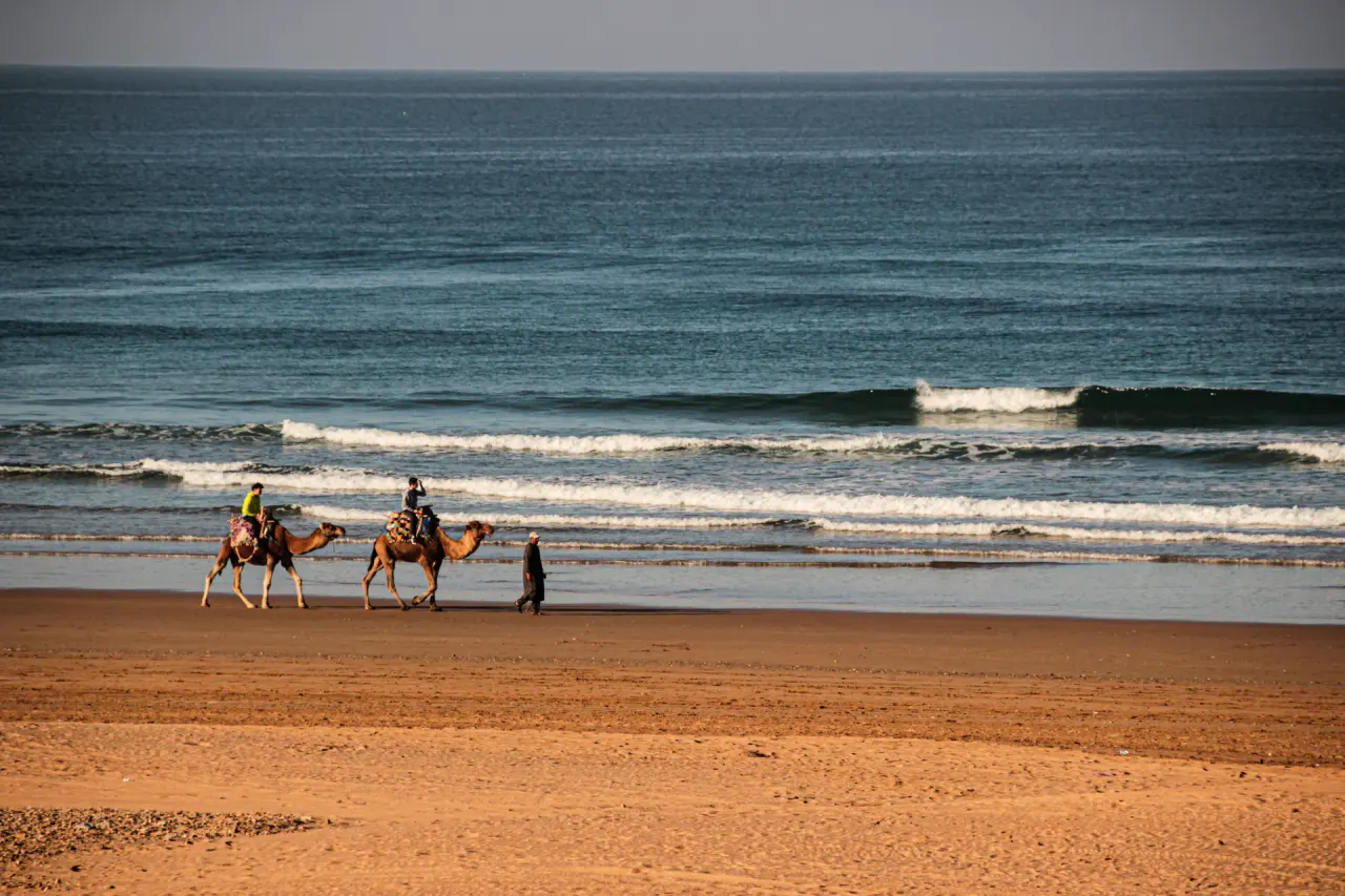 Essaouira — école de surf et kitesurf Elite School sur l'Atlantique